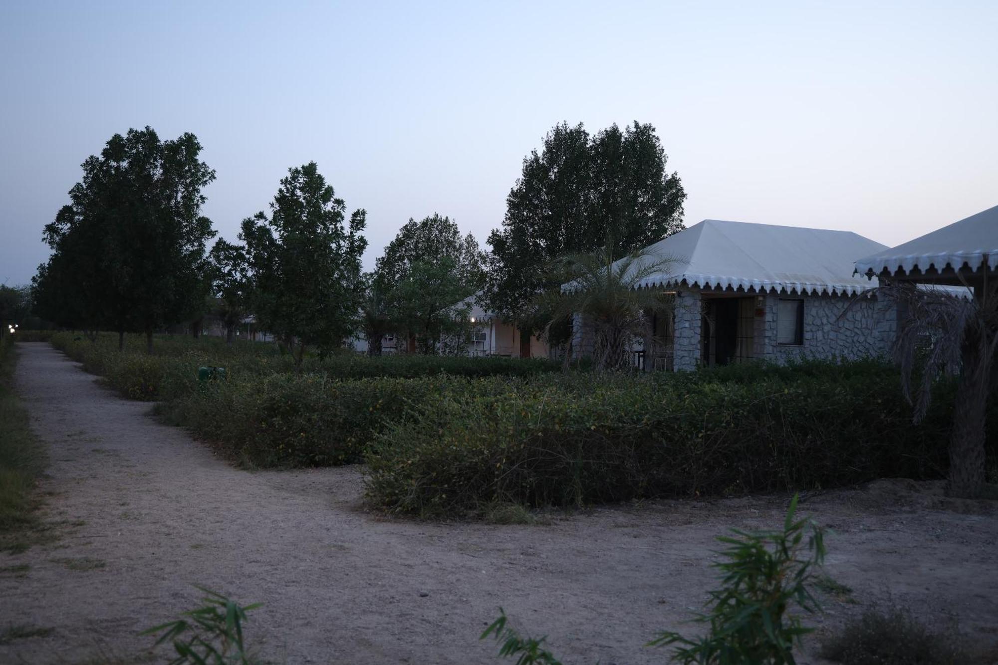 Jawai Bera Leopard Camp 호텔 외부 사진